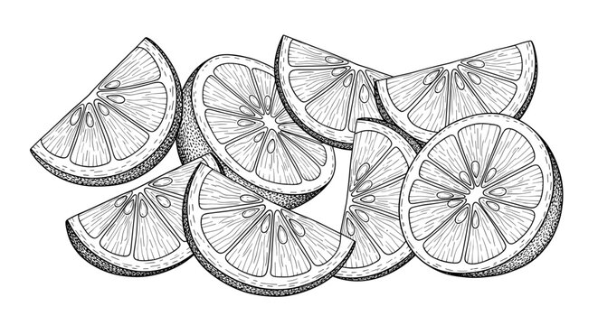 Fresh lemon slices and wedges arranged in a group
