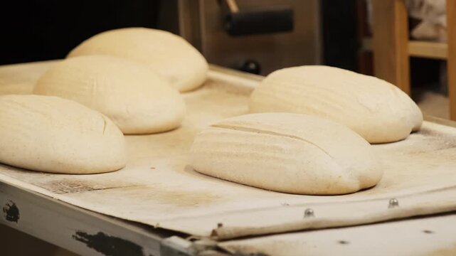 Baker scores raw dough loaves with blade on floured work surface. Sharp cuts open tops preparing each loaf for strong oven spring before baking
