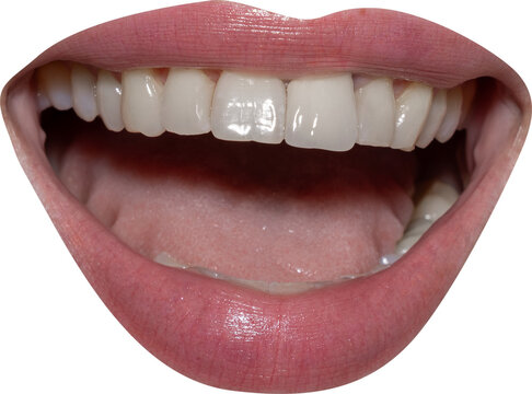 Expressive adult mouth opens in an energetic laugh isolated on transparent background. Positive emotion, vocal communication and human reaction concept.