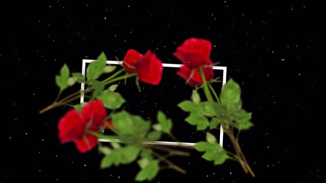 Beautiful red roses arranged around a white rectangular frame on black background.