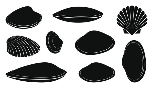 Collection of various black silhouette clam and scallop shells isolated on a white background, for marine themed, and icon projects