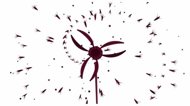 Hand crafted animated seed pod burst in coral and magenta on a clean light background. Seamless looping 4K motion graphics video with free space for text, ideal for branding, social media content and 