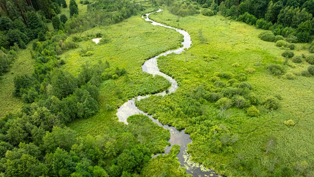 Birds-eye view of curving river in lush green Polish woods.