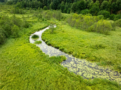 Scenic aerial view of curvy river in a green forest.