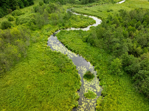 Aerial shot showing winding river surrounded by green summer forest.
