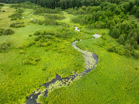 Overhead view of curving river flowing through a summer forest.