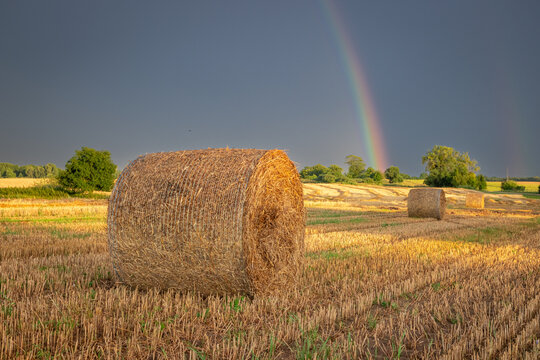 Countryside sunset featuring a rainbow over a harvested field.