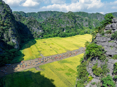 Tam Coc festival river through rice valley during the Tam Coc festival in Ninh Binh, Vietnam