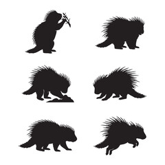 Fototapeta premium Set of Porcupine silhouette designs
