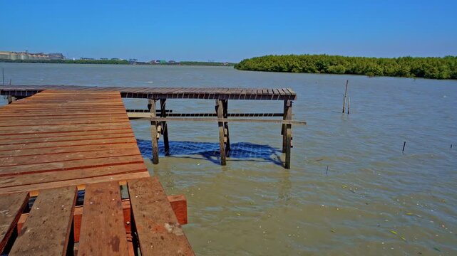 Wooden Pier Overlooking Lush Mangrove Forest In Java Indonesia Sunny Tropical Seascape Daylight