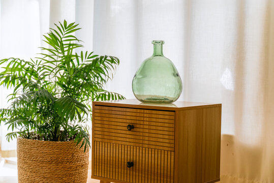 Green Parlor Palm and Green Glass Vase for home decoration