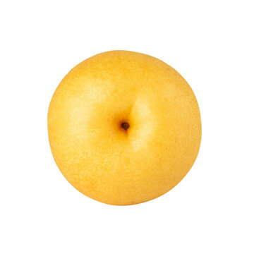 Asian Pear cutout, full depth of field.