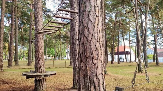 Outdoor Climbing Equipment Among Pine Trees in Woodland Playground