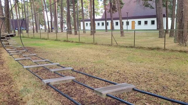 Outdoor Climbing Equipment Among Pine Trees in Woodland Playground
