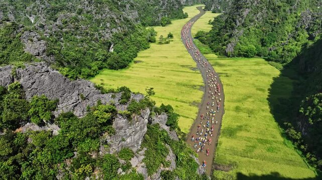 Long Tam Coc boat procession in rice fields during the Tam Coc festival in Ninh Binh, Vietnam
