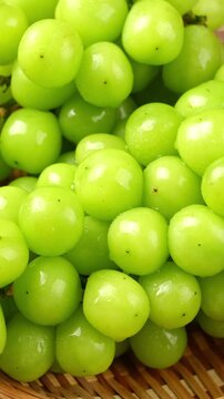 closeup of seedless green Shine Muscat grape background