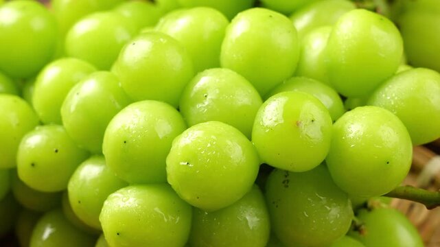 closeup of seedless green Shine Muscat grape background