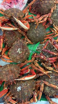Close up of live spider crabs piled together at a seafood market
