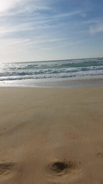  La plage de Messanges  entre for&ecirc;t landaise et oc&eacute;an. Landes - Aquitaine