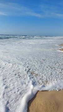  La plage de Messanges  entre for&ecirc;t landaise et oc&eacute;an. Landes - Aquitaine