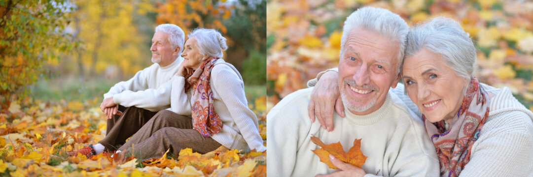 Happy senior couple enjoying autumn park walk