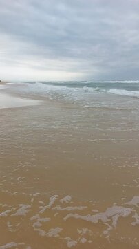  La plage de Messanges  entre for&ecirc;t landaise et oc&eacute;an. Landes - Aquitaine