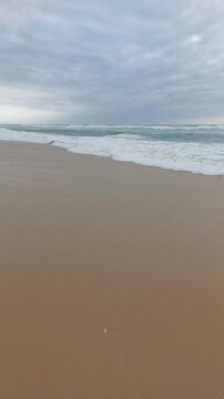  La plage de Messanges  entre for&ecirc;t landaise et oc&eacute;an. Landes - Aquitaine