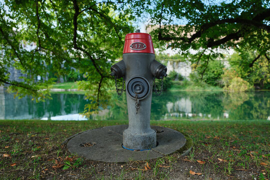 Classic cast iron fire hydrant with red cap installed on green grass in a public park by the water canal with lush tree branches.