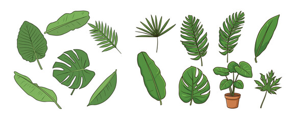 Mega Tropical Houseplant Leaves Set Monstera Deliciosa Split Foliage Philodendron Salloum Heart Shaped Arrowhead Foliage Collection Botanical Vector Illustration Isolated on White Background © Elementa Design