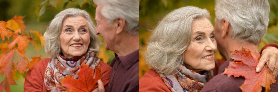 Senior couple enjoying autumn outdoors and holding hands