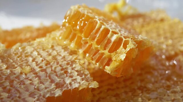 Macro Close Up of Fresh Raw Honeycomb Piece with Golden Honey, Organic Beekeeping and Natural Sweetener Concept