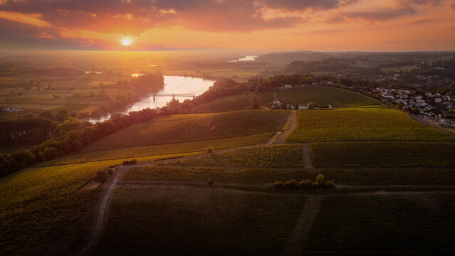 GIRONDE 33 ENTRE DEUX MERS. LANGOIRAN, AERIAL VIEW OF VINEYARD AT SUNRISE
