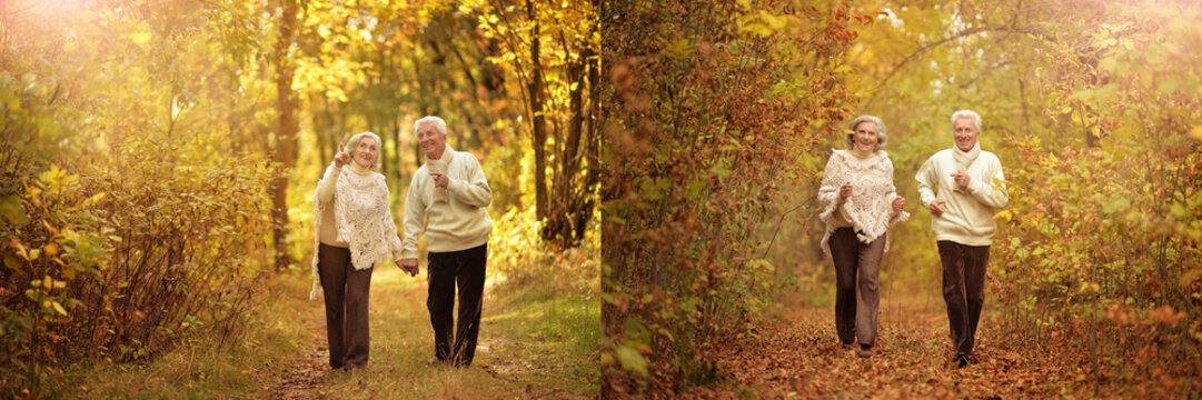 Senior couple walking in autumn park with warm sunlight