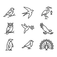Fototapeta premium Bird icons set featuring eagle owl penguin peacock hummingbird line art