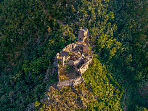 FRANCE. ALSACE. HAUT-RHIN 68 RIBEAUVILLE, AN AERIAL VIEW OF THE RUINS OF SAINT-ULRICH CASTLE WHICH FORMS PART OF THE COMPLEX KNOWN AS ?THE THREE CASTLES? AT SUNRISE.
