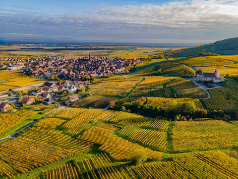 FRANCE.ALSACE. BAS-RHIN 67 AN AERIAL VIEW OF DAMBACH-LA-VILLE ON THE ALSACE WINE ROUTE IN AUTUMN.