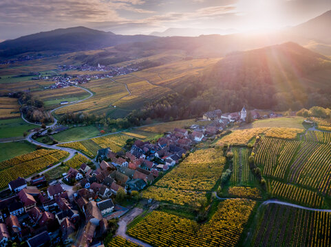 FRANCE ALSACE BAS-RHIN 67 AERIAL VIEW OF THE ITTERSWILLER VINEYARD IN AUTUMN AT SUNRISE