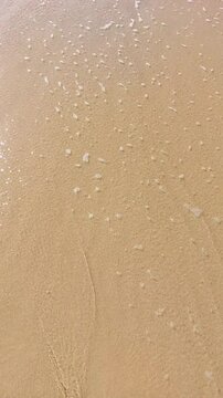  La plage de Messanges  entre for&ecirc;t landaise et oc&eacute;an. Landes - Aquitaine