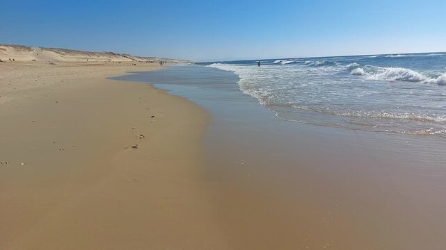  La plage de Messanges  entre for&ecirc;t landaise et oc&eacute;an. Landes - Aquitaine