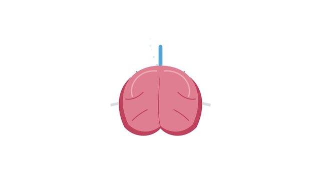 Human brain anatomy representation showing cognitive function and mental health awareness concept displayed in a symbolic shape for educational purposes in science and medical research fields of