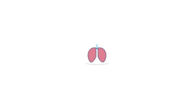 Human respiratory organ anatomy showing internal lung structure for medical education and research purposes to demonstrate breathing process and pulmonary health within healthy biological body