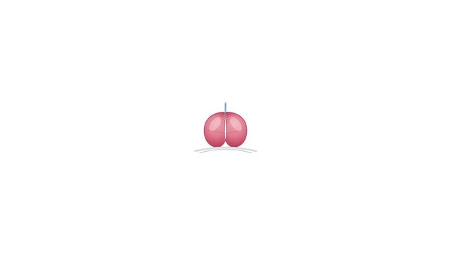 Pink round balloon shaped like a small heart floating gently with a thin string attached for festive celebration events or romantic anniversary party decorations for couples in love during