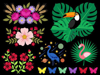 Fototapeta premium Tropical Floral and Bird Vector Collection: Toucan, Flamingo, Hibiscus, and Monstera Leaves on Black