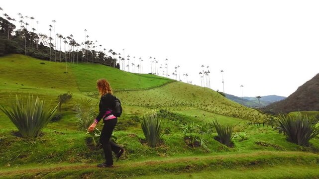 A woman with a backpack hikes along a grassy path in Colombia's Cocora Valley, beneath green hills dotted with tall wax palms.