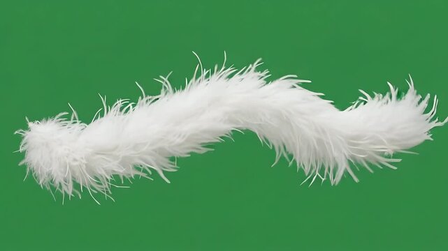 A long, wavy, and fluffy Ostriches white feather boa isolated against a solid green screen background. Perfect for fashion, costume, cabaret, or decorative design elements.