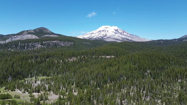 Up the forest and South Sister - Oregon