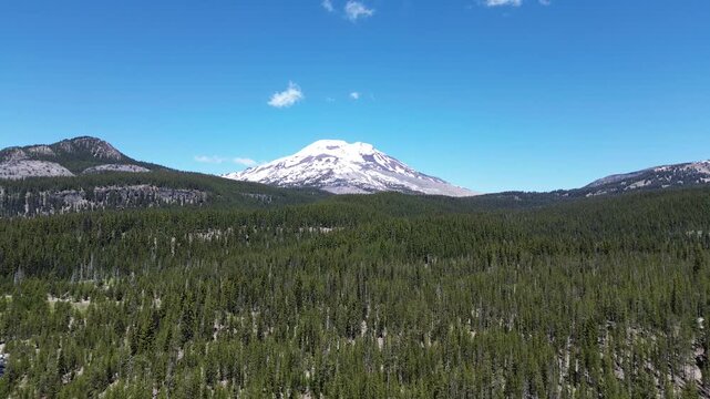 The forest around South Sister - Oregon