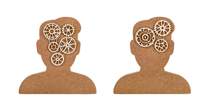 Wooden human head silhouette with gears inside symbolizing thought, ideas, and cognitive processes isolated on white background