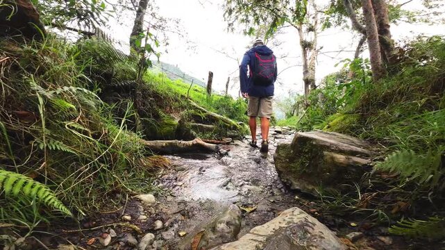 Low-angle view of a man in toe shoes walking away along a wet, rocky trail bordered by ferns in Colombia's Cocora Valley.