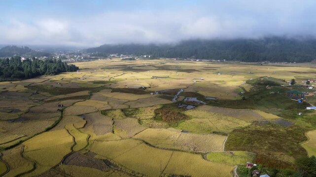Aerial view of green fields and mountains of Ziro, Arunachal Pradesh
